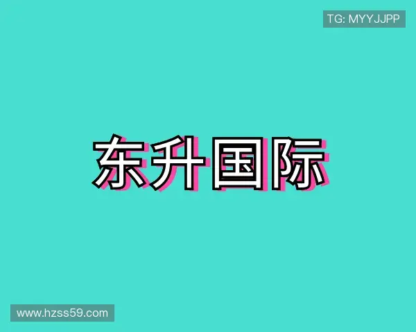 了解东升国际